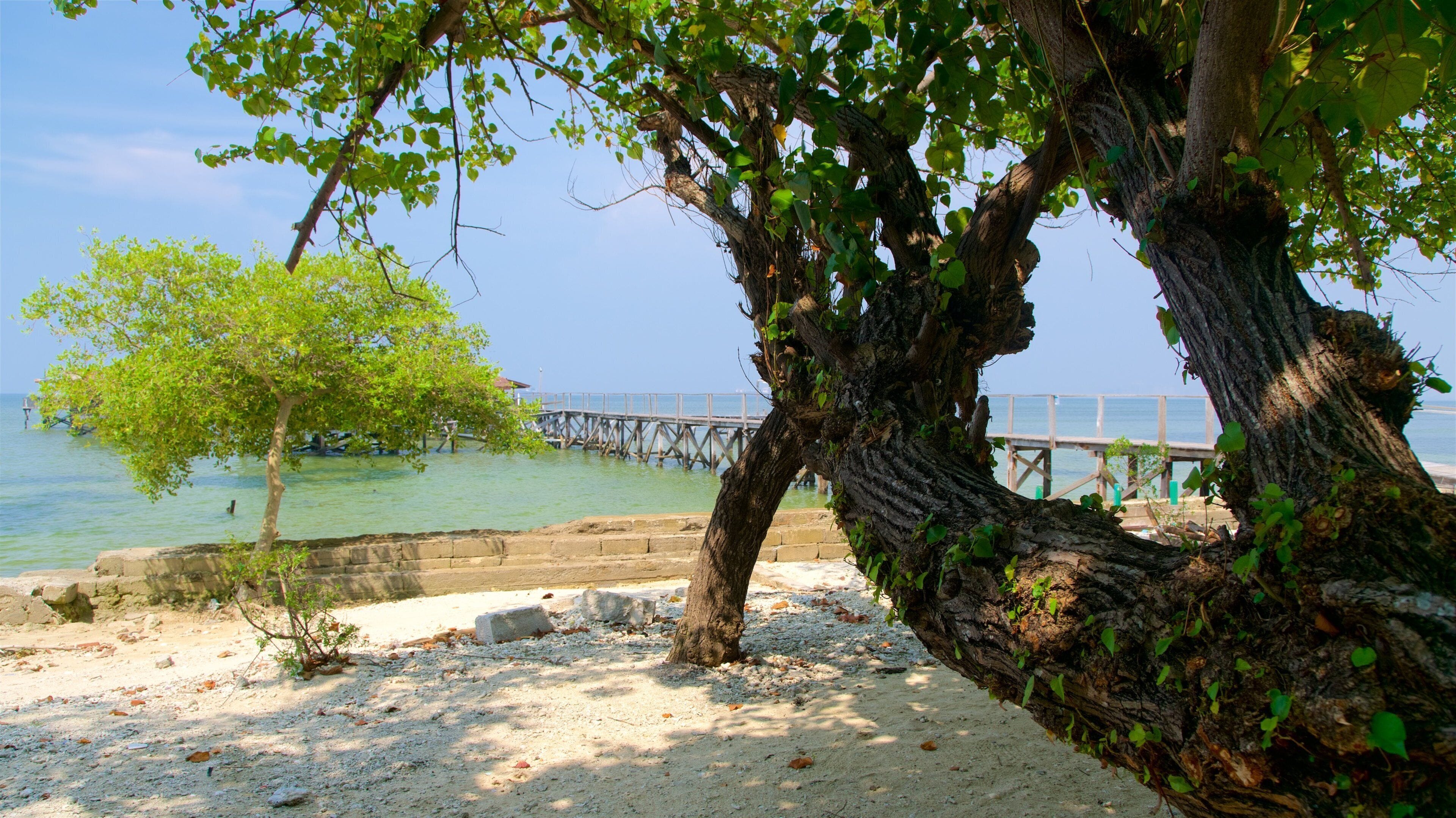 A beach with a tree, a wooden pier, and calm water.