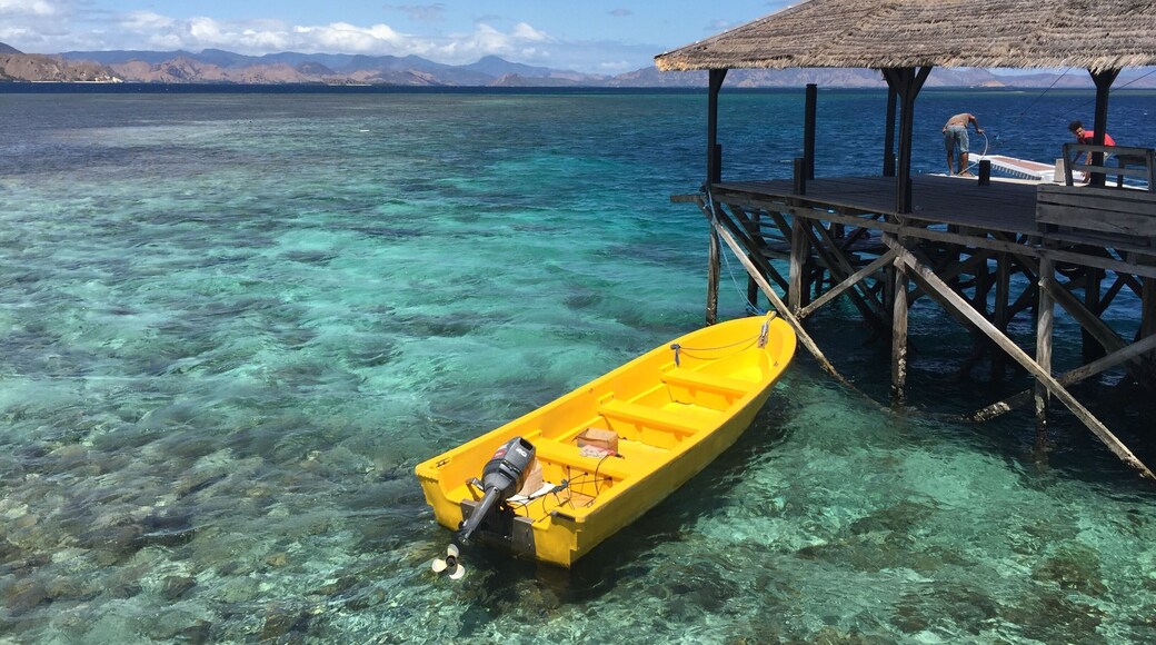 Some stunning offshore snorkeling awaits in the Komodo islands. #Adventure