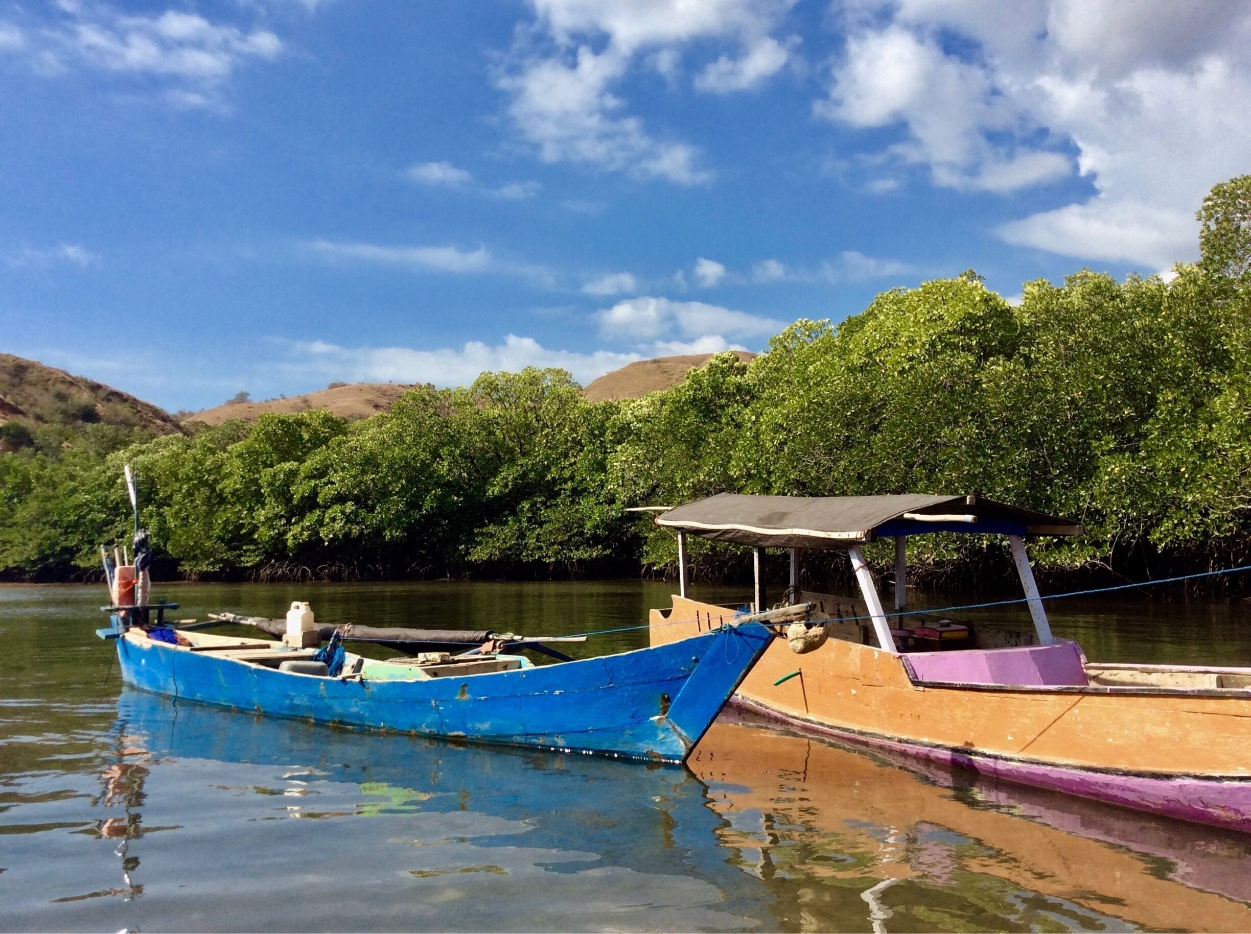Views from the boat while cruising through Komodo Park. 