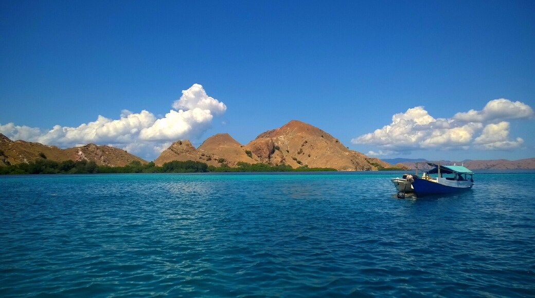 Just a random little island in Komodo National Park we stopped at while scuba diving. #ocean #blue #landscape