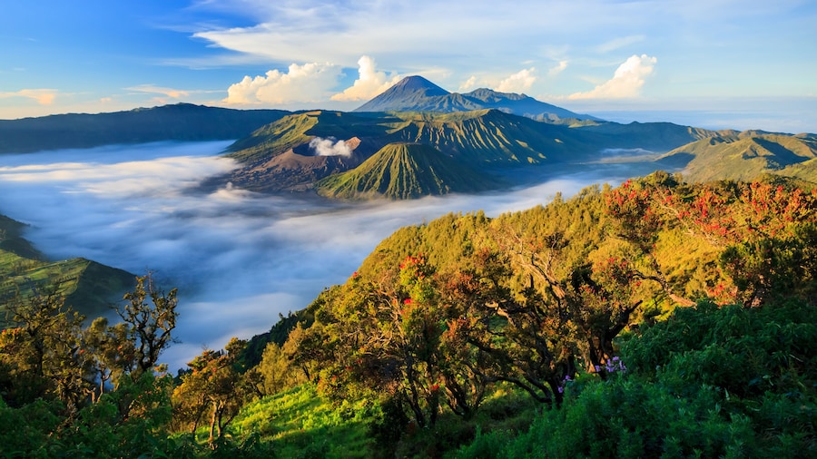 Bromo Tengger Semeru nationalpark