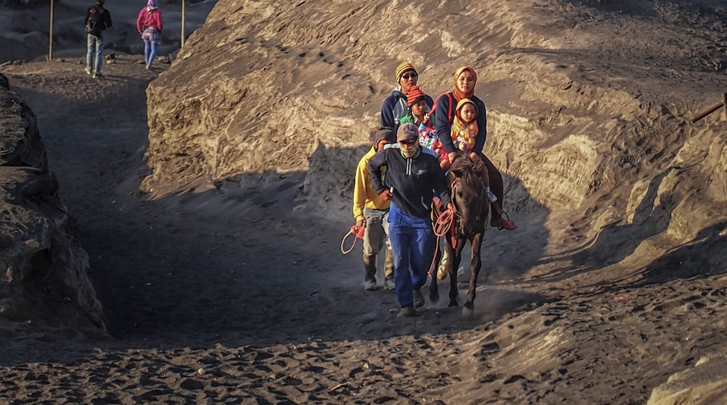 Bromo Tengger Semeru National Park