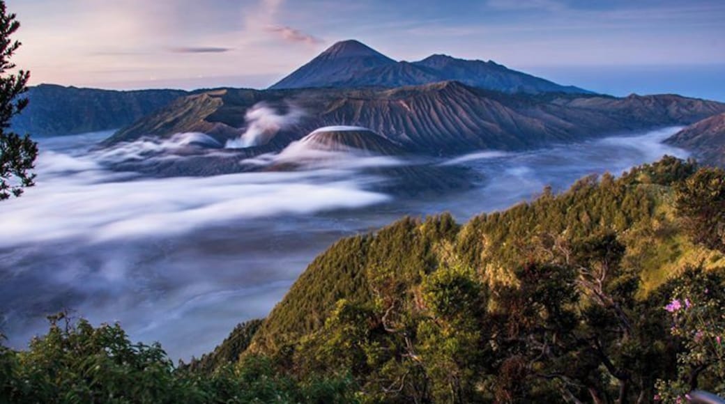 Bromo - Pain in the arse to get to, but pretty spectacular views. This is at dawn