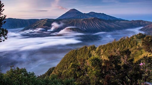 Bromo - Pain in the arse to get to, but pretty spectacular views. This is at dawn