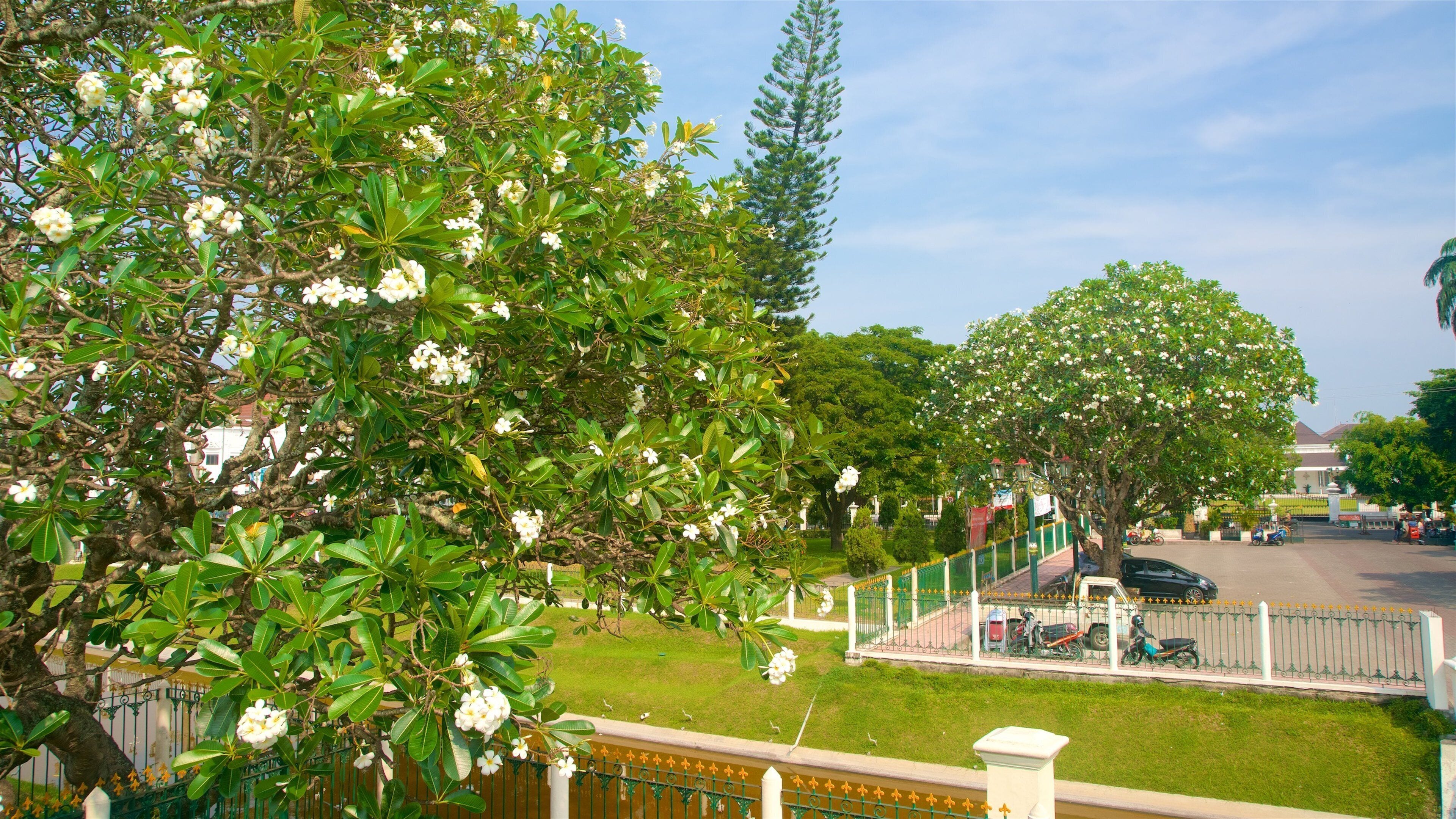 Vredeburg-fortet museum som inkluderer hage og villblomster
