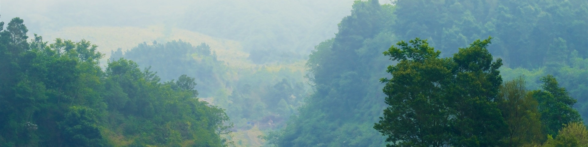 Gunung Merbabu National Park