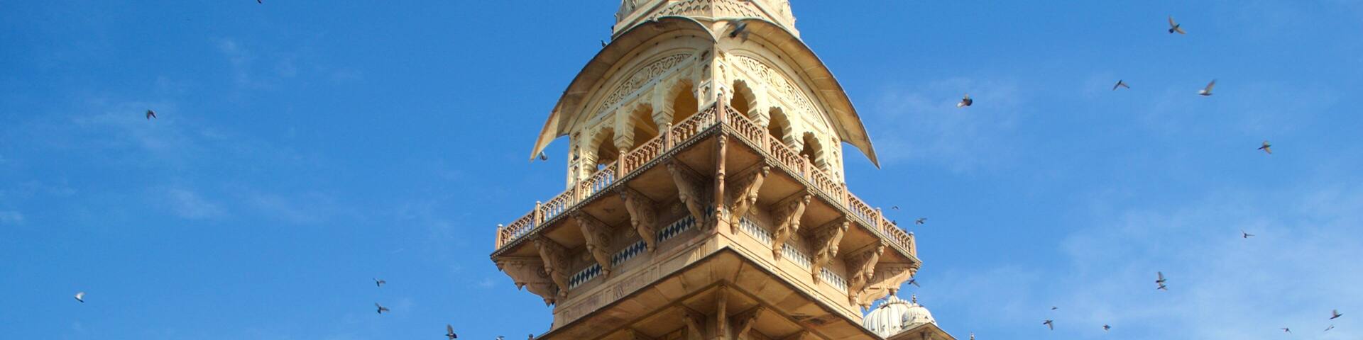 中央博物館 フィーチャー 遺跡