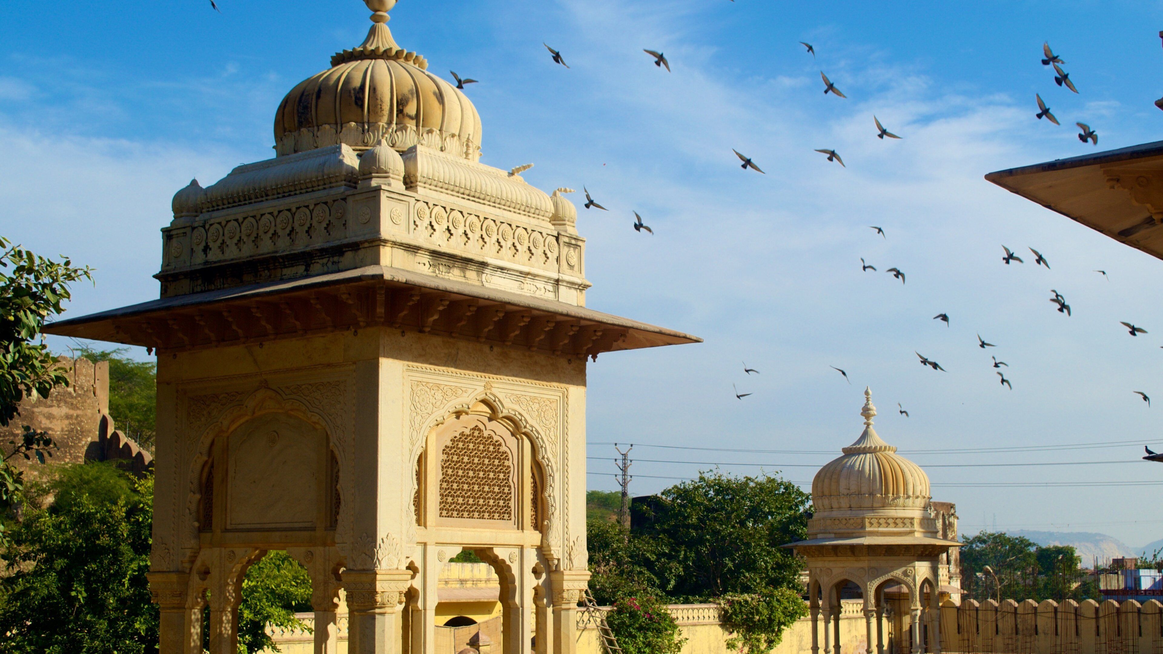 蓋特 其中包括 莊園或宮殿