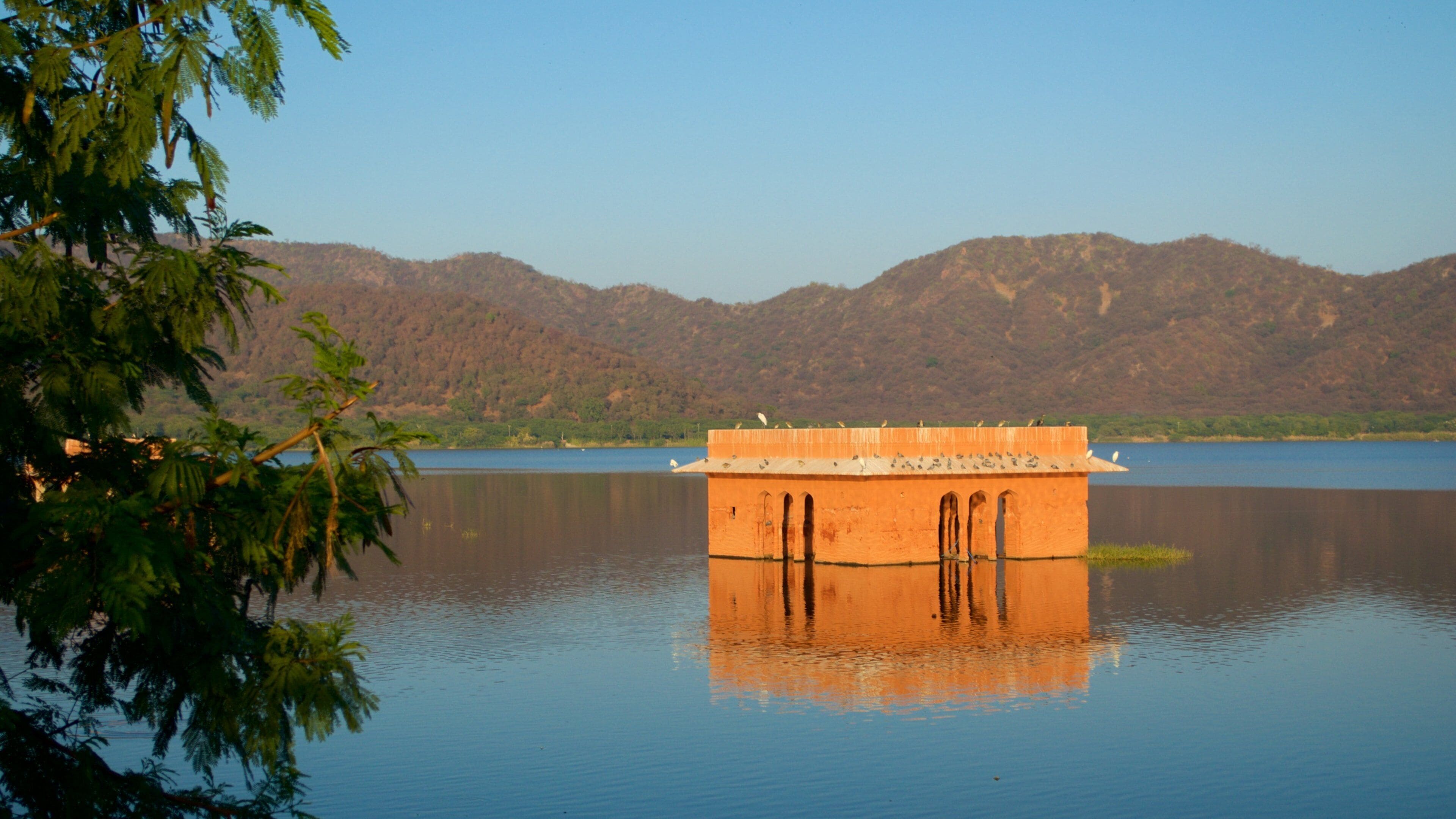 Jal Mahal showing a lake or waterhole