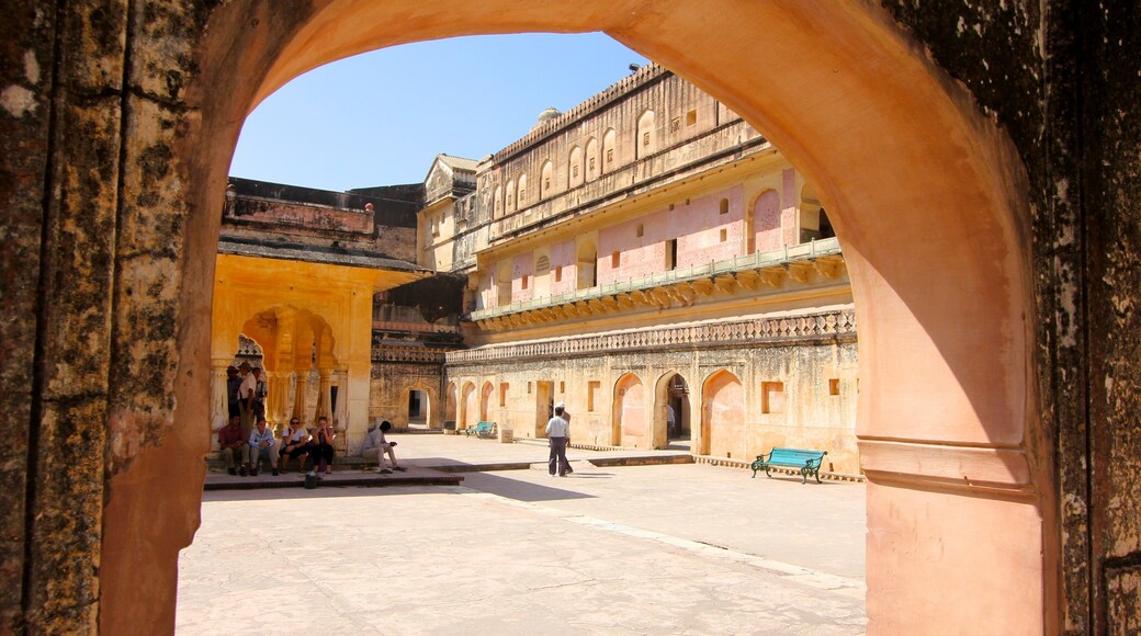 Amber Fort bevat kasteel of paleis en historische architectuur