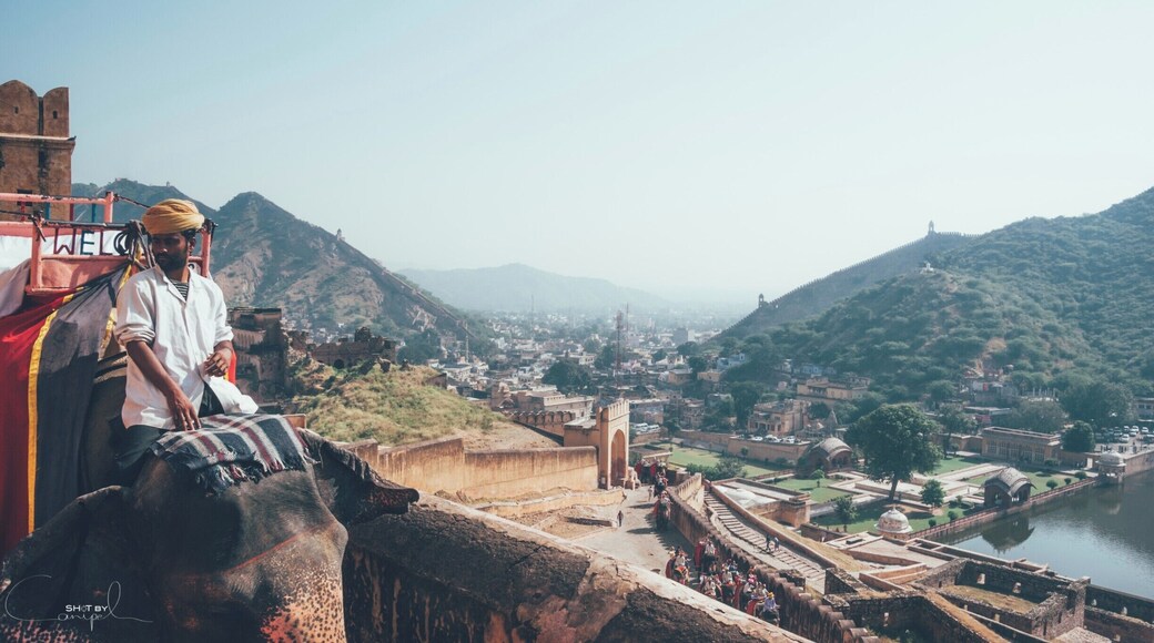 Guided elephant rides into the Amber fort.
Wonderful location it is!!!
#india #jaipur #amberfort #travel #troveon