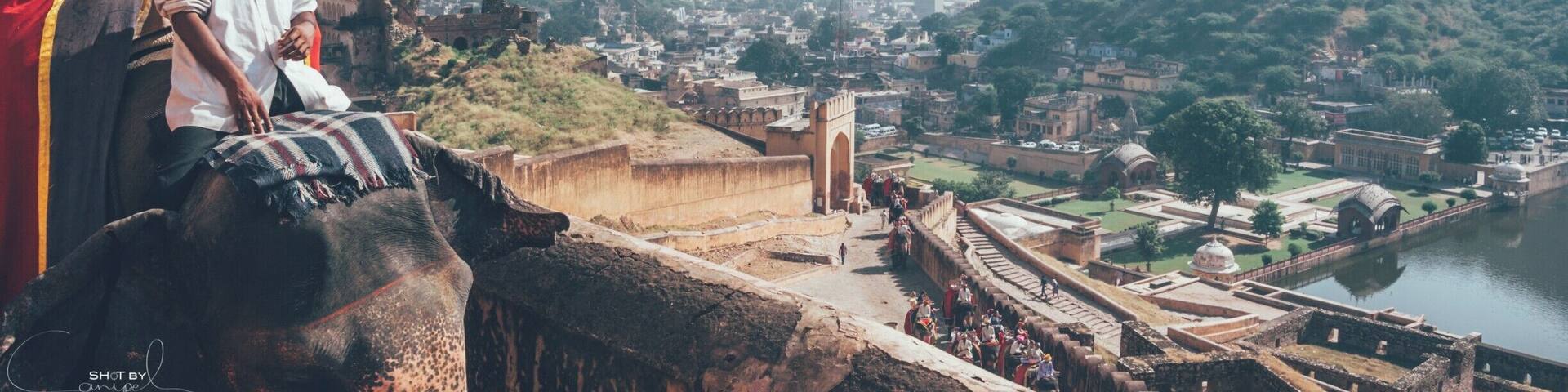 Guided elephant rides into the Amber fort.
Wonderful location it is!!!
#india #jaipur #amberfort #travel #troveon