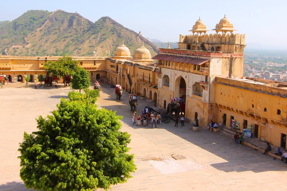 A historic fort with a large tree in the foreground, a group of people, and elephants with riders.