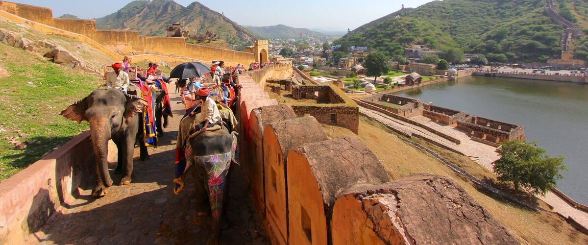 Amber Fort showing building ruins, land animals and landscape views