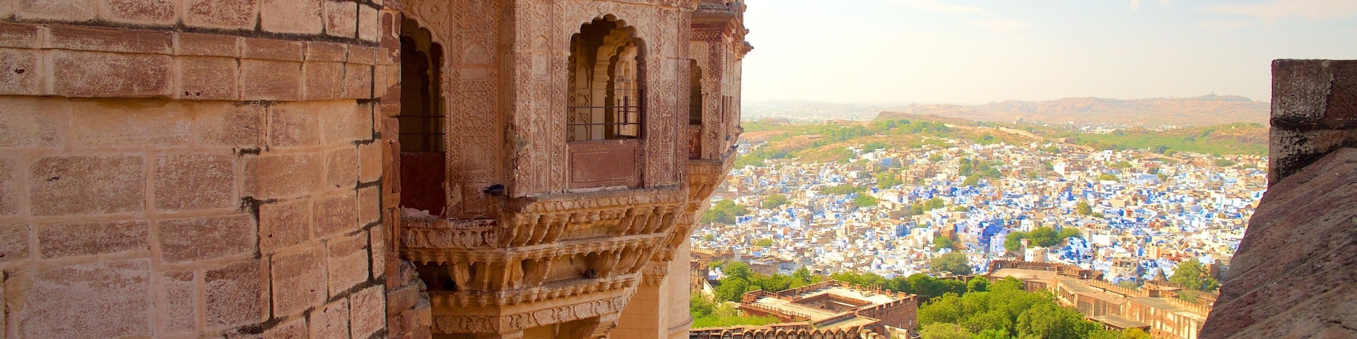 Mehrangarh Fort mostrando castillo o palacio, arquitectura patrimonial y elementos patrimoniales