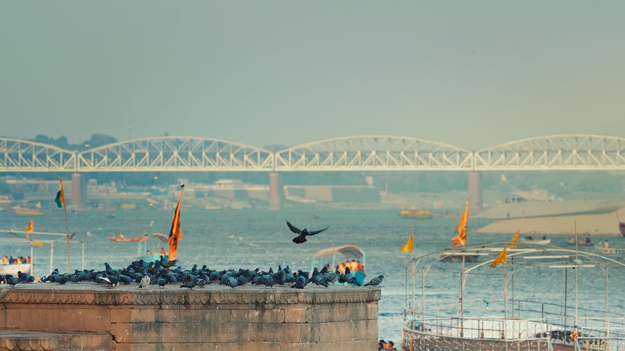 Varanasi, India. Bird Take Off from Sacred Ghat In Varanasi. Pigeons Fly Up In Slow Mo. Birds Flight. Orange Flags Fluttering In Slow Mo, Symbolizing Hanuman. Cinematic View On Ganga River. Many