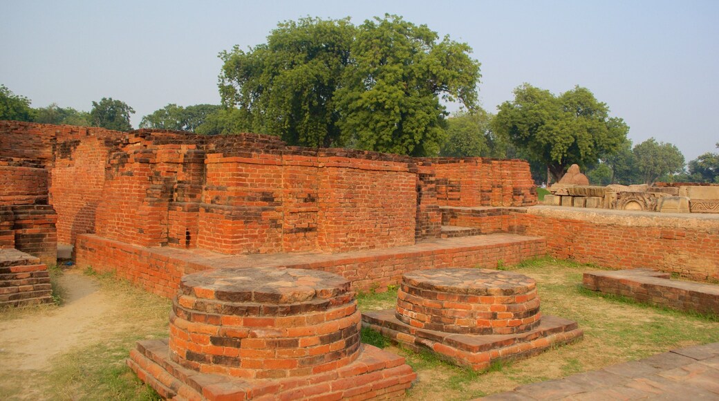 Dharmarajika Stupa featuring heritage elements