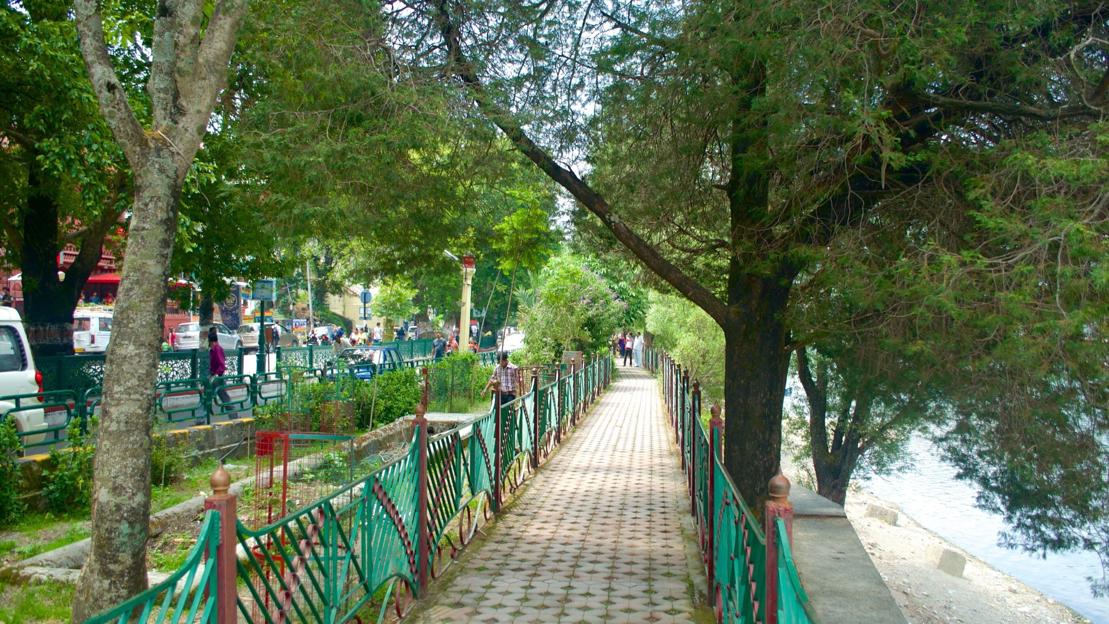 Nainital Lake featuring street scenes and a small town or village