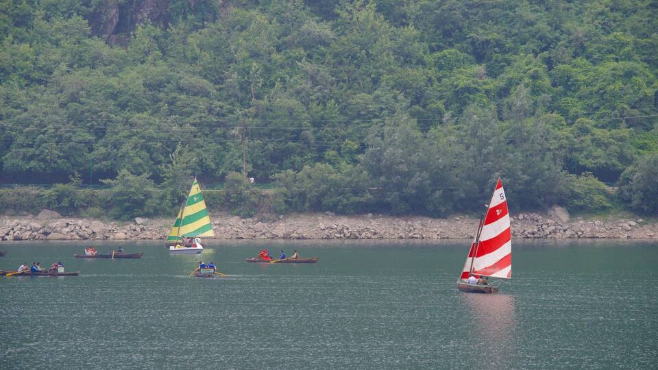 A calm river with several sailboats, including one with a red and white sail and another with a green and yellow sail.