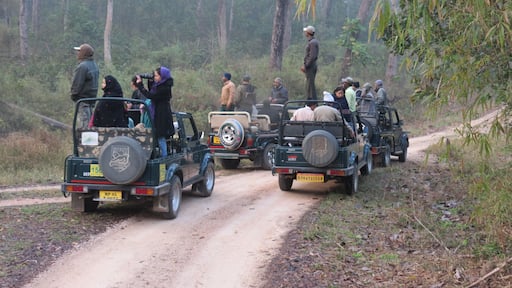 Can you guess whom are we waiting for so eagerly that too in the early chilled morning?