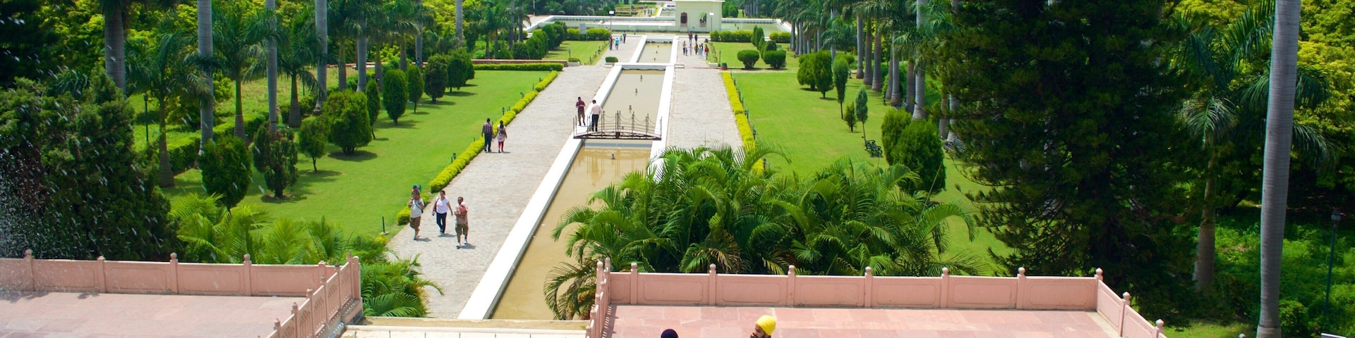 A landscaped garden with a central water feature, palm trees, and a distant building.