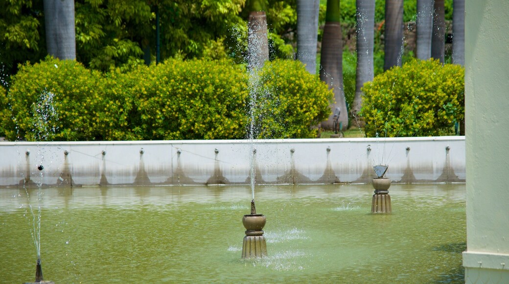 Yadavindra Gardens which includes a fountain, a park and a lake or waterhole