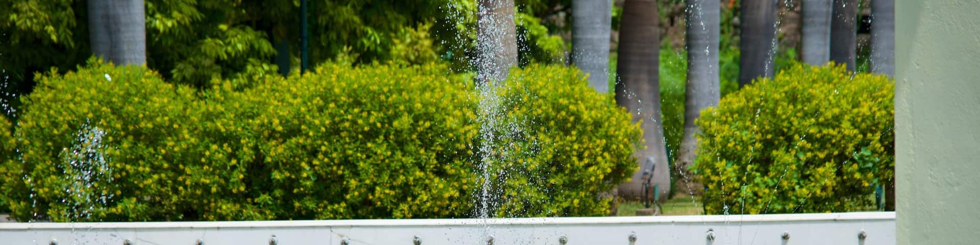 Yadavindra Gardens showing a park, a lake or waterhole and a fountain