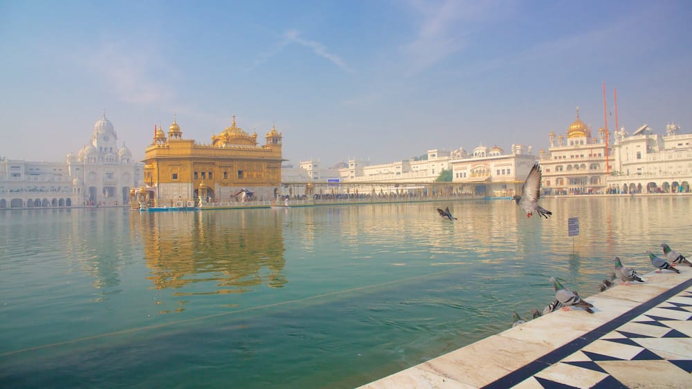 Golden Temple showing a lake or waterhole, bird life and heritage architecture