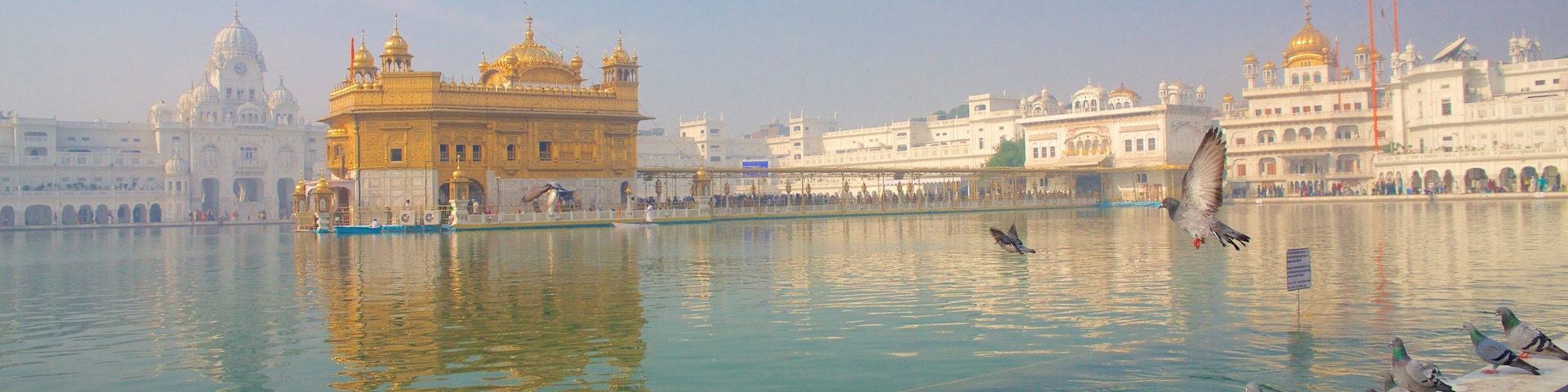 Golden Temple showing a lake or waterhole, bird life and heritage architecture