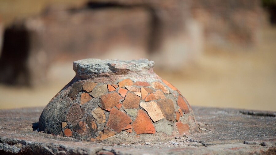 Lothal showing heritage elements and a ruin