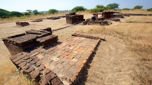 Lothal which includes heritage elements and building ruins