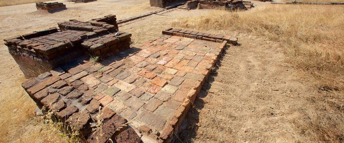 Ancient brick ruins in a dry, grassy field with scattered trees in the background.