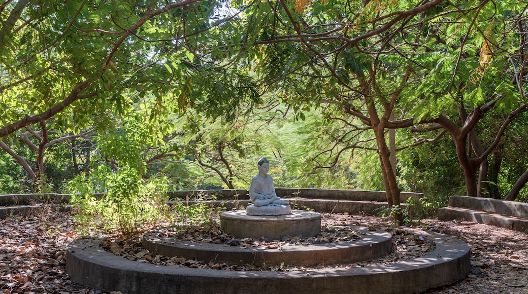 Osho International Meditation Resort