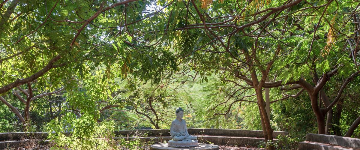A stone statue of a seated figure in a park surrounded by trees and stone steps.