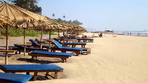 Ashvem Beach which includes tropical scenes, a sandy beach and landscape views