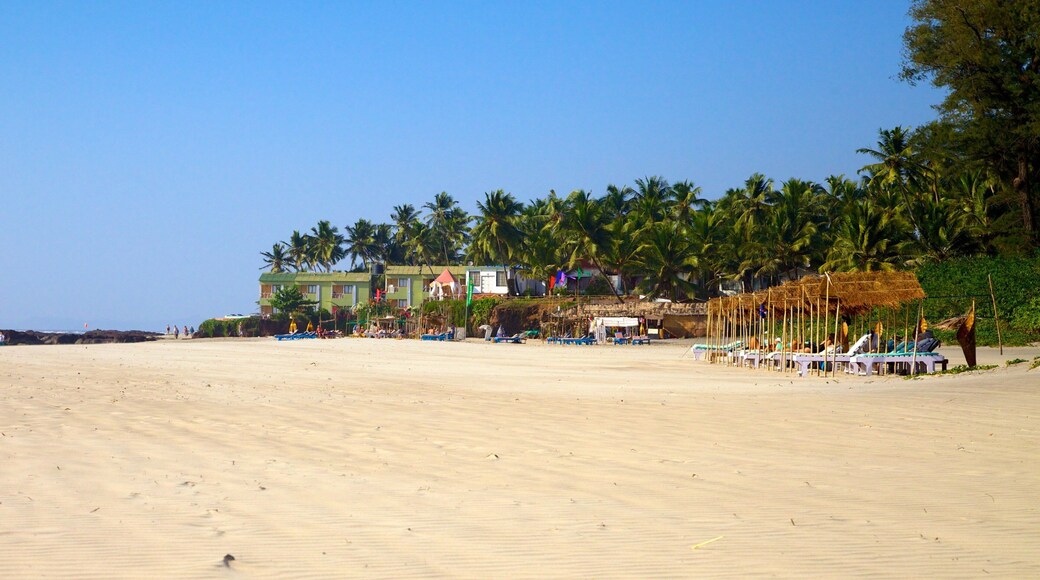 Ashvem Beach which includes a sandy beach