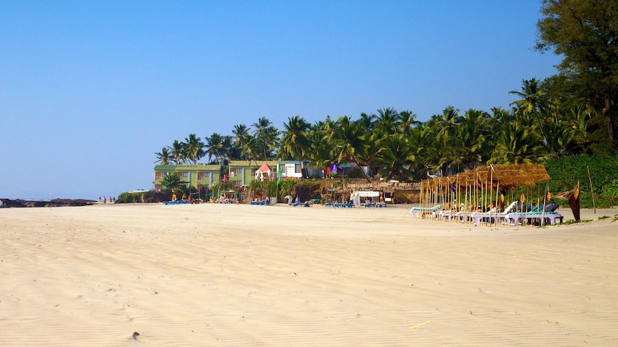 Ashvem Beach which includes a sandy beach