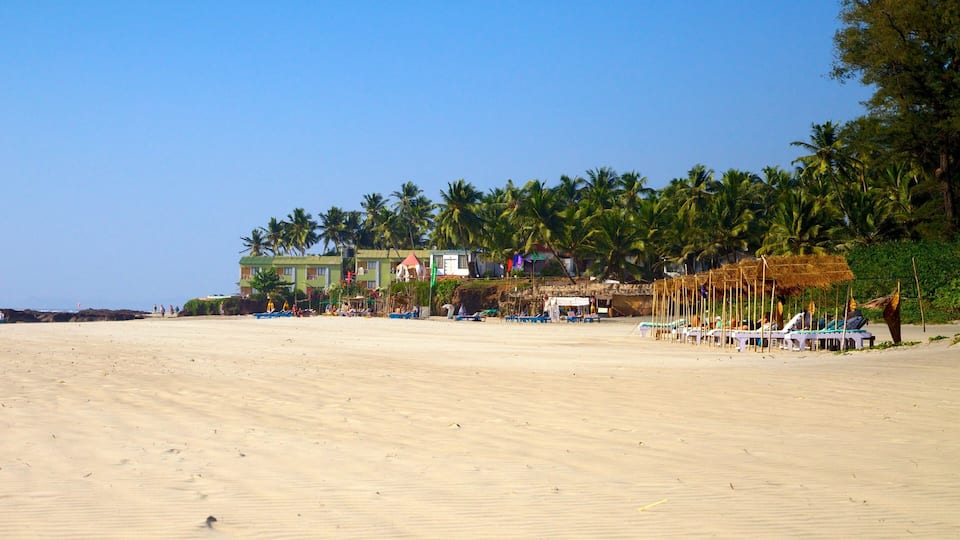 A sandy beach with palm trees and a building with multiple balconies.