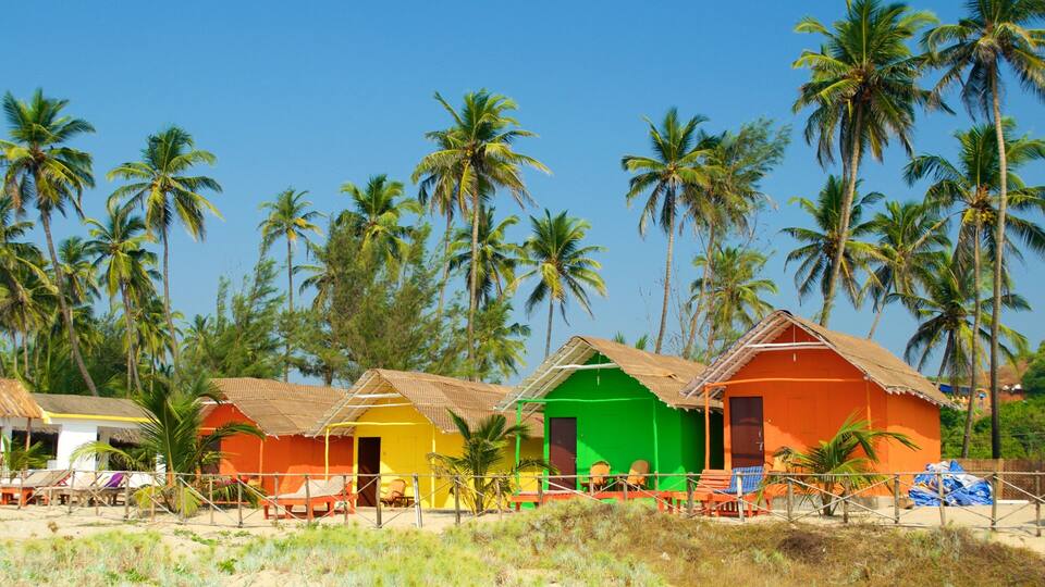 Colorful beach huts with palm trees in the background.