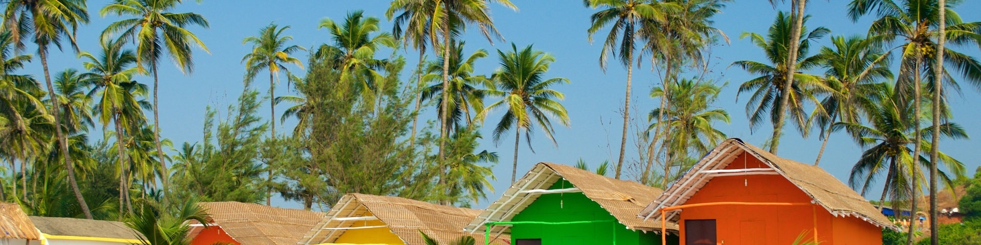 Colorful beach huts with palm trees in the background.
