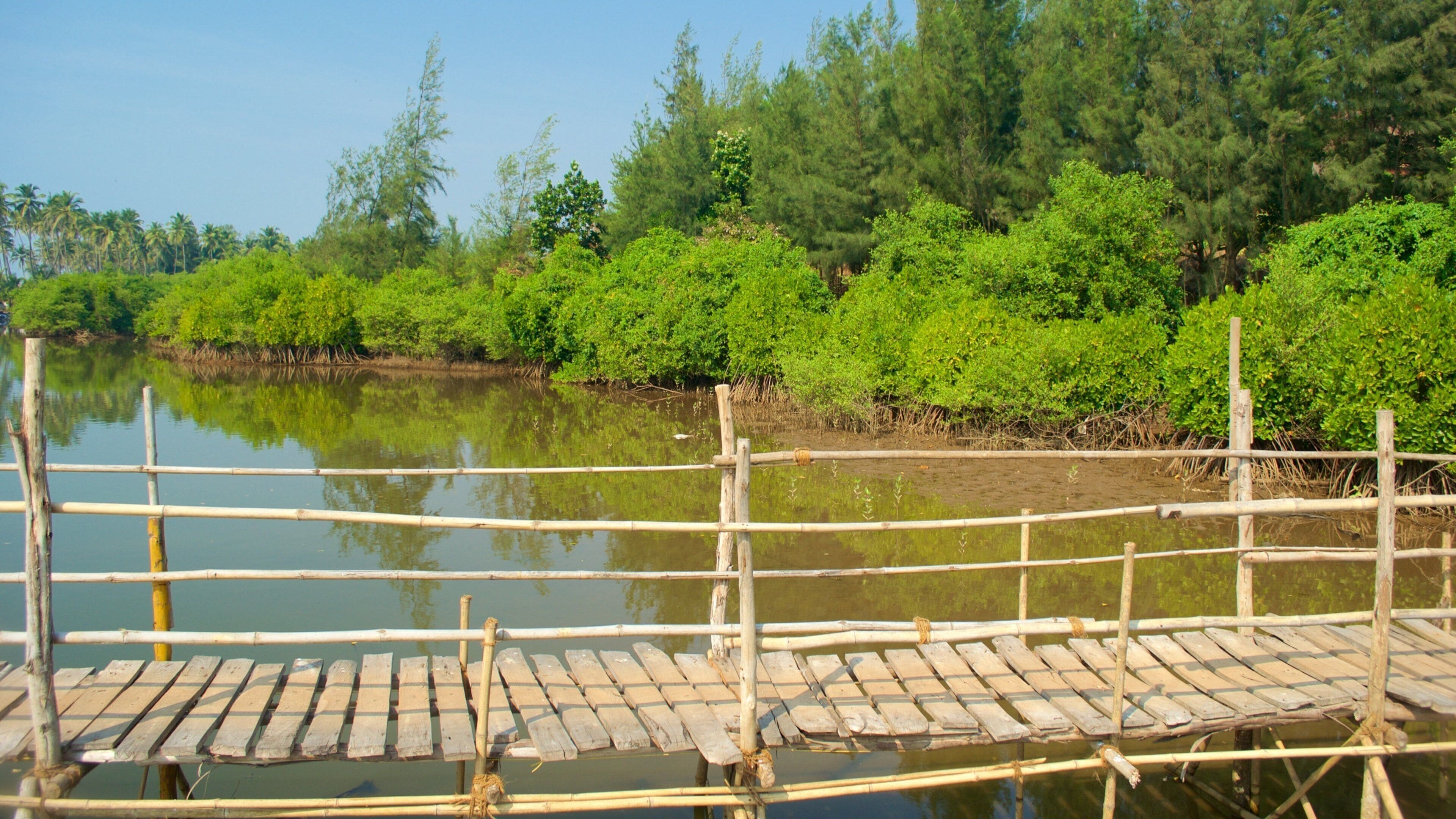 Praia de Mandrem mostrando um rio ou córrego e cenas de floresta