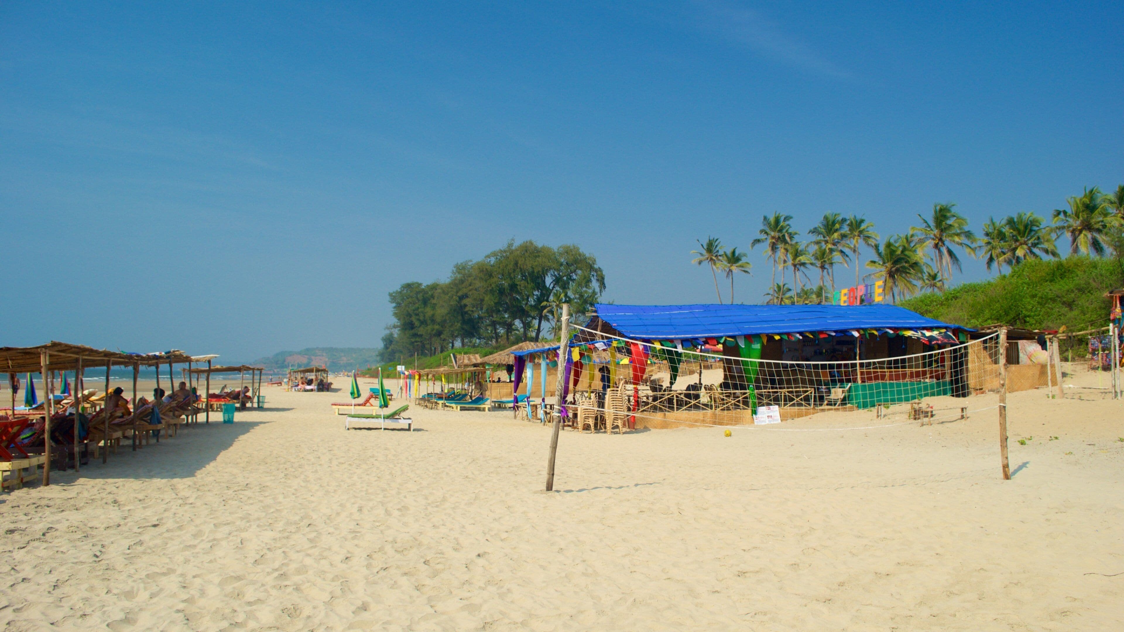 Mandrem Beach showing tropical scenes, general coastal views and a sandy beach