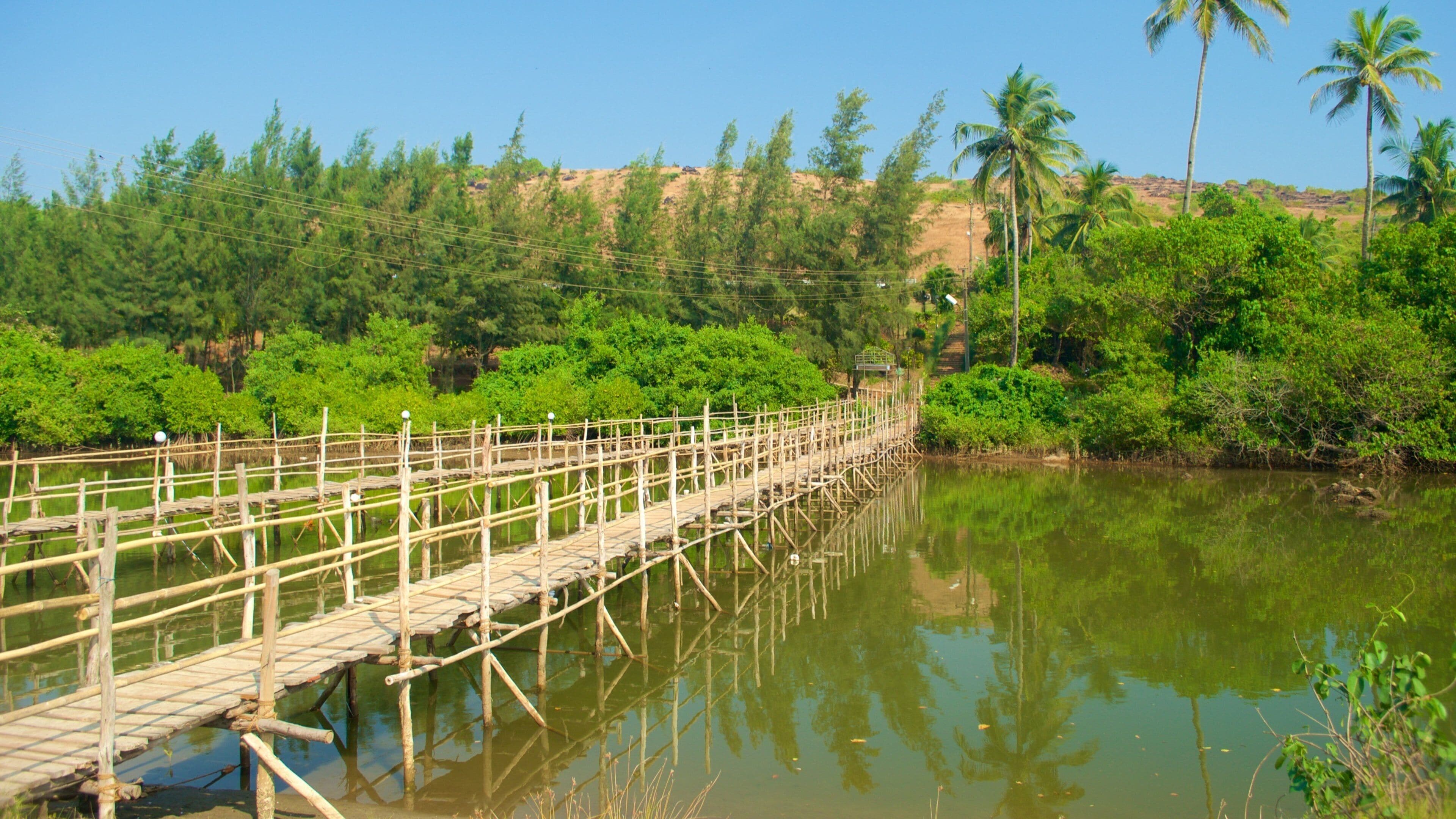 Playa de Mandrem ofreciendo un río o arroyo y bosques