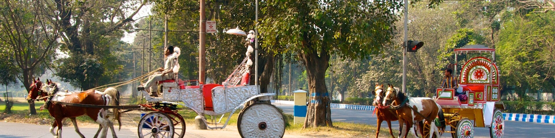 Maidan caracterizando animais terrestres e cenas de rua