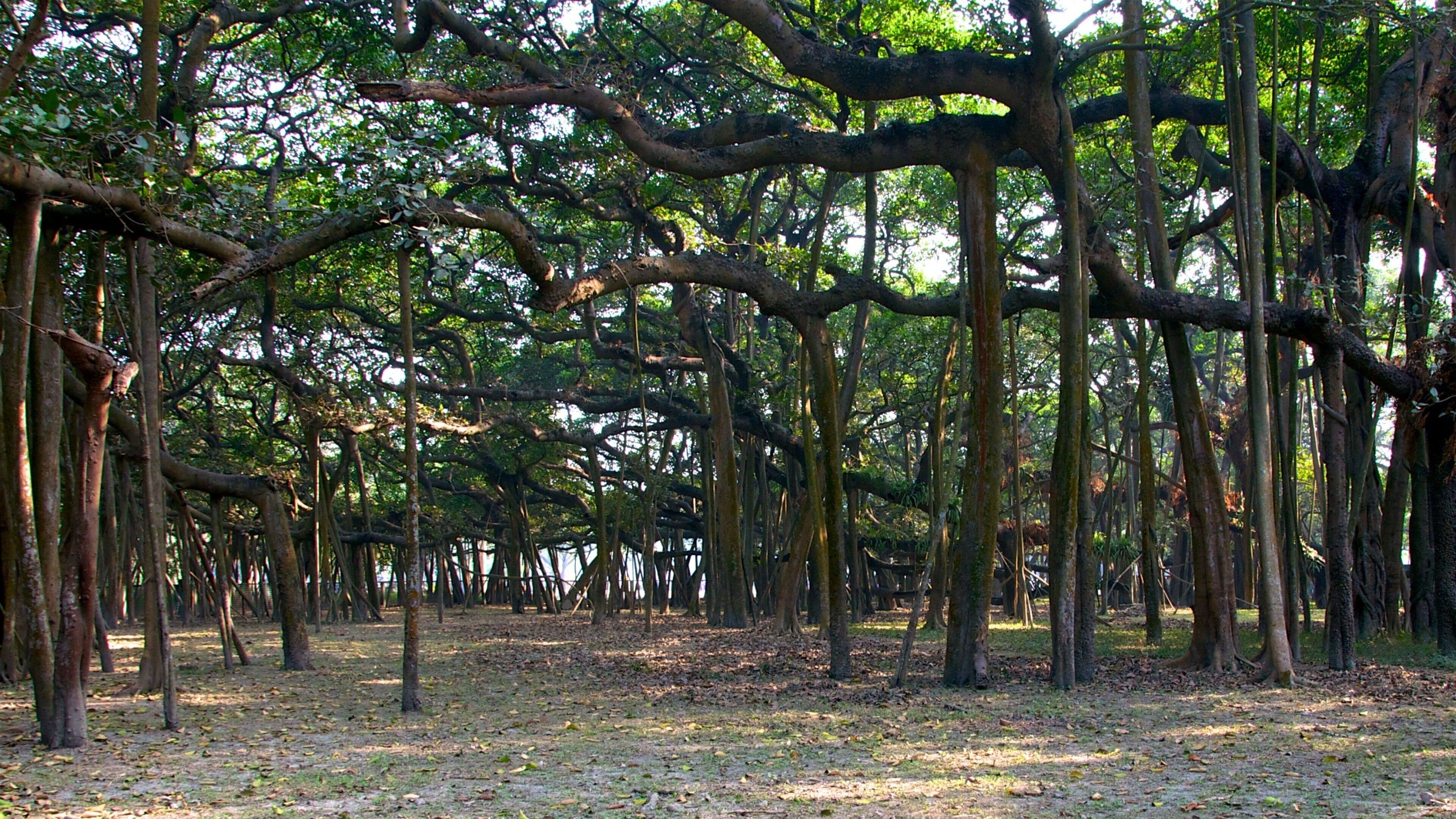 Botanical Gardens featuring landscape views and a park