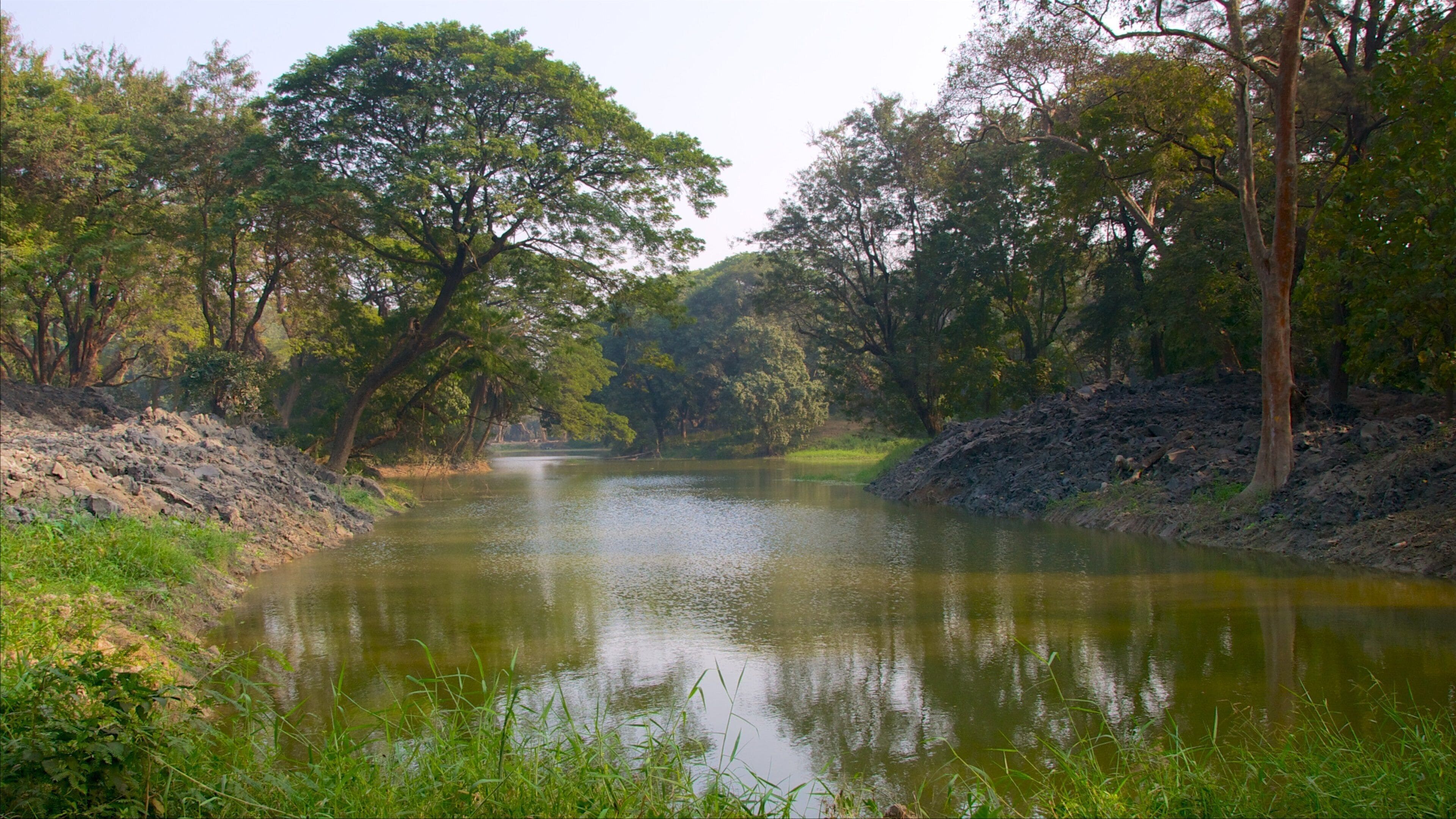 Botanical Gardens mostrando situaciones tranquilas, un río o arroyo y bosques