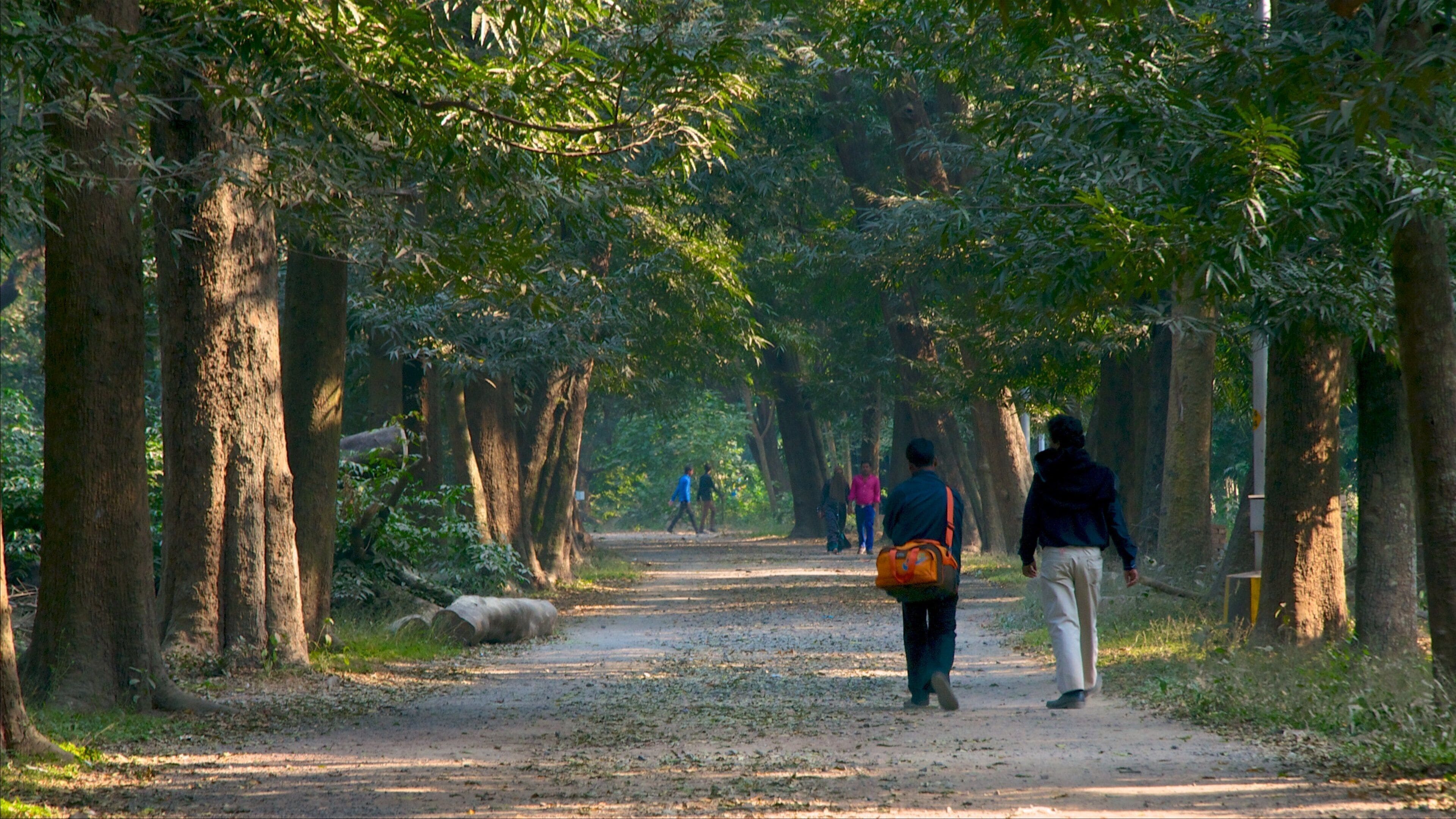 Botanical Gardens showing a park