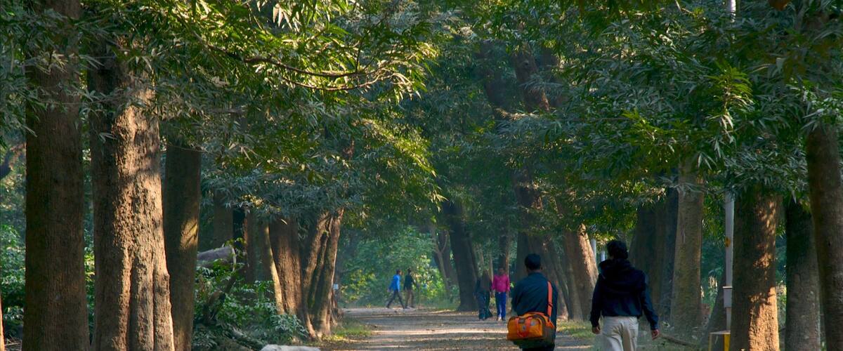 Giardini botanici che include parco