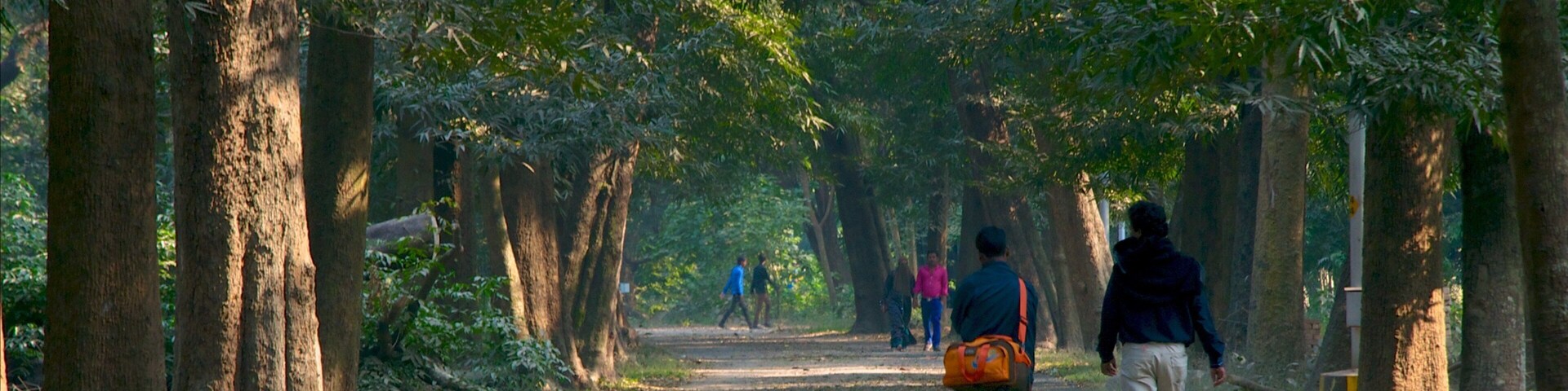 Botanical Gardens mostrando jardín