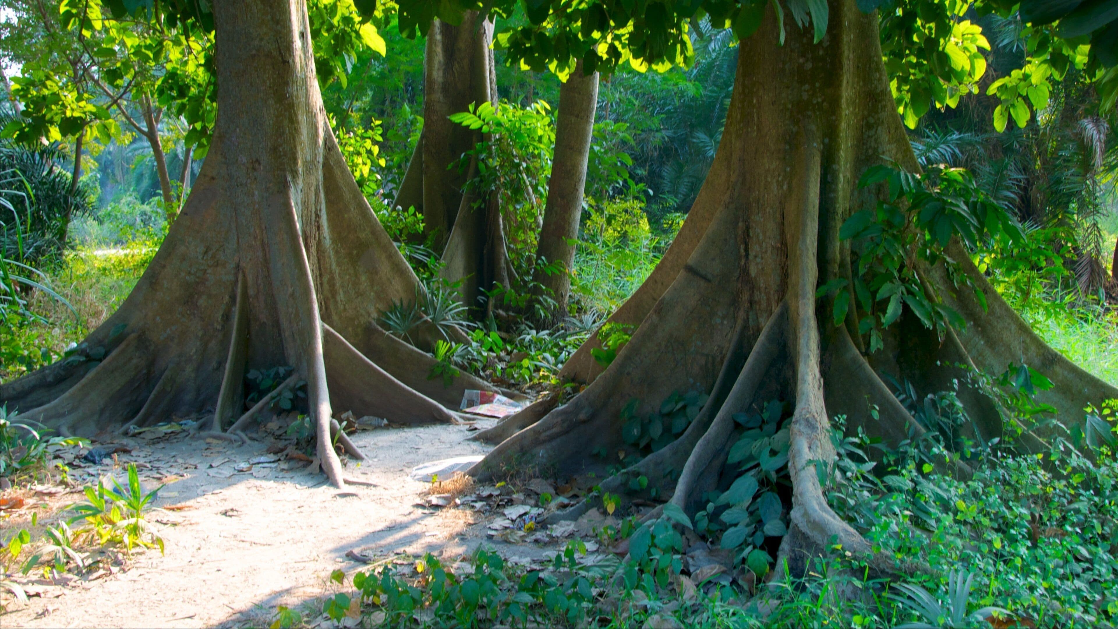 Botanical Gardens featuring a garden